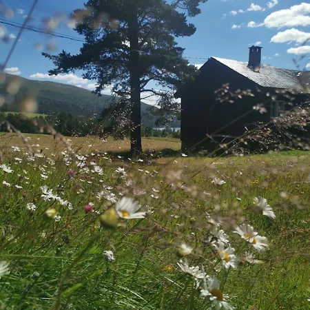 Asrud Seter I Jotunheimen Randsverk