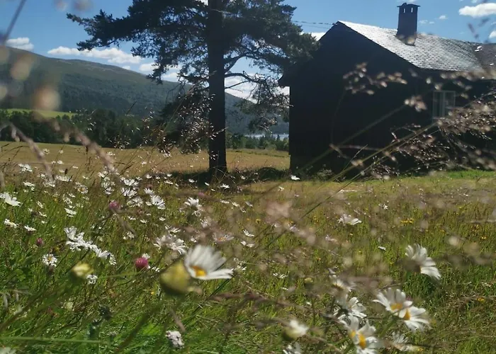 Asrud Seter I Jotunheimen Randsverk